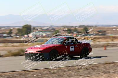 media/Nov-13-2022-VIP Trackdays (Sun) [[2cd065014b]]/B group/Speed Shots/